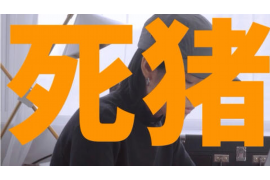 昭阳清债公司:专业债务解决方案提供商 昭阳清债公司:专业债务解决方案提供商