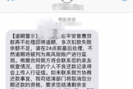 菏泽的讨债公司：专业解决债务问题，守护您的权益