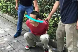 如何接贷款公司催收业务:全面攻略与案例分析 如何接贷款公司催收业务:全面攻略与案例分析